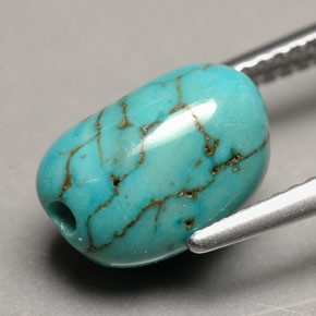 Turquoise bleue naturelle forme fantaisie, 3,66 ct, opaque
