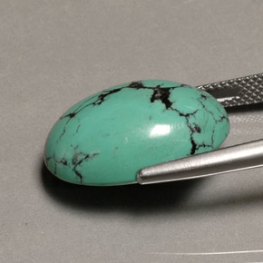 Turquoise vert naturelle coupe ovale, 13,65 ct, opaque