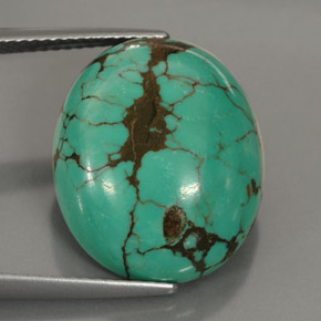 Turquoise vert naturelle coupe ovale, 15,63 ct, opaque