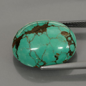 Turquoise vert naturelle coupe ovale, 15,63 ct, opaque