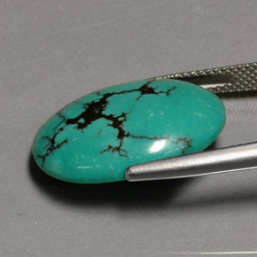 Turquoise vert naturelle coupe ovale, 12,26 ct, opaque