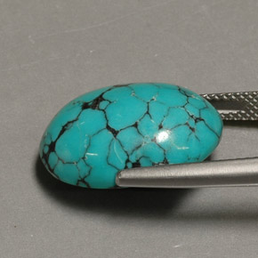 Turquoise bleue naturelle coupe ovale, 12,98 ct, opaque