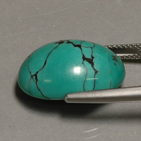 Turquoise Vert naturelle Coupe ovale, 12.65 ct, Opaque