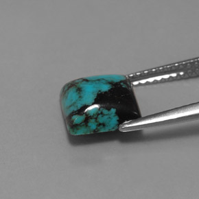 Turquoise Bleu naturelle Carré, 1.59 ct, Opaque