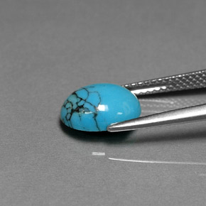Turquoise Bleu naturelle Coupe ovale, 1.78 ct, Opaque