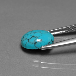 Turquoise bleue naturelle coupe ovale, 1,70 ct, opaque