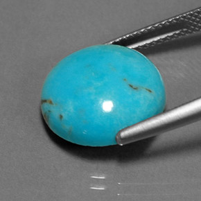Turquoise vert naturelle coupe roude, 6,89 ct, opaque