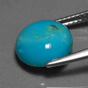 Turquoise vert naturelle coupe roude, 3,04 ct, opaque