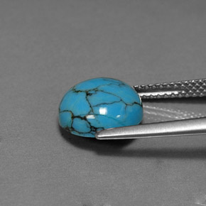Turquoise Bleu vert naturelle Coupe roude, 2.63 ct, Opaque