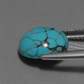 Turquoise bleue naturelle coupe roude, 2,55 ct, opaque