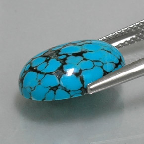 Turquoise bleue naturelle coupe ovale, 3,92 ct, opaque