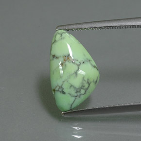 Turquoise vert naturelle forme fantaisie, 2,71 ct, opaque