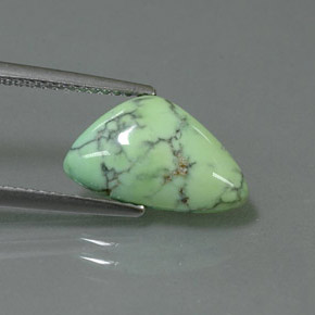 Turquoise vert naturelle forme fantaisie, 2,71 ct, opaque