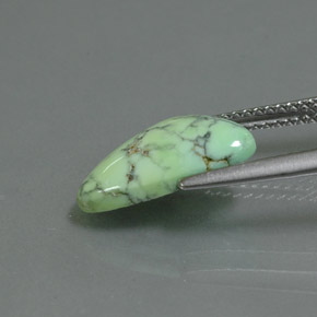 Turquoise vert naturelle forme fantaisie, 2,71 ct, opaque