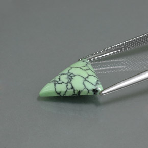 Turquoise Vert jaunâtre naturelle Trillion, 2.71 ct, Opaque