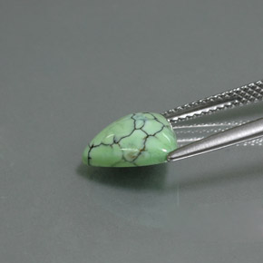 Turquoise vert naturelle trillion, 2,47 ct, opaque