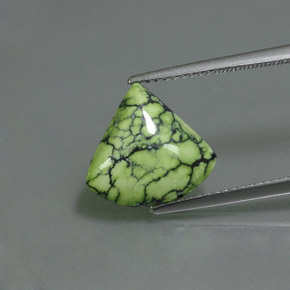 Turquoise vert naturelle forme fantaisie, 2,93 ct, opaque