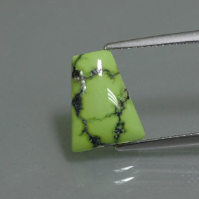Turquoise vert naturelle forme fantaisie, 2,62 ct, opaque