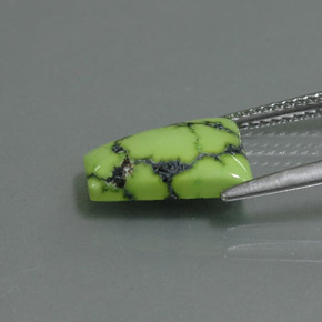 Turquoise vert naturelle forme fantaisie, 2,62 ct, opaque