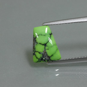 Turquoise vert naturelle forme fantaisie, 1,63 ct, opaque