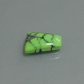 Turquoise vert naturelle forme fantaisie, 1,63 ct, opaque