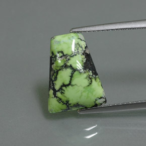 Turquoise Vert jaunâtre naturelle Forme fantaisie, 3.45 ct, Opaque