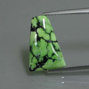 Turquoise vert naturelle forme fantaisie, 2,84 ct, opaque