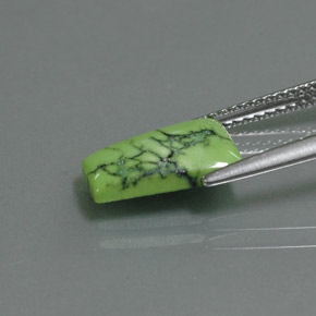 Turquoise vert naturelle forme fantaisie, 2,06 ct, opaque