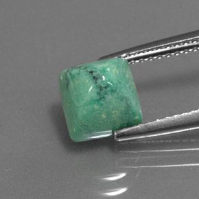 Turquoise vert naturelle carré, 2,33 ct, opaque
