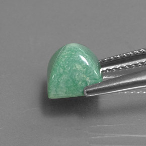 Turquoise vert naturelle carré, 2,43 ct, opaque