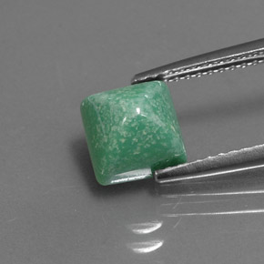 Turquoise vert naturelle carré, 2,05 ct, opaque