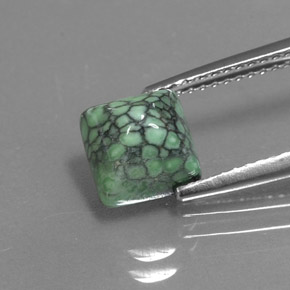 Turquoise vert naturelle carré, 2,29 ct, opaque