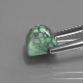 Turquoise vert naturelle carré, 2,29 ct, opaque