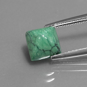 Turquoise vert naturelle carré, 2,16 ct, opaque