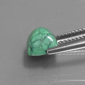 Turquoise vert naturelle carré, 2,16 ct, opaque
