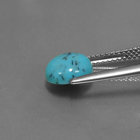 Turquoise Bleu naturelle Coupe roude, 1.46 ct, Opaque