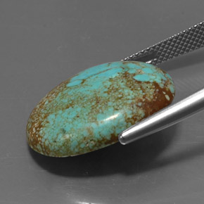 Turquoise vert naturelle coupe ovale, 12,94 ct, opaque
