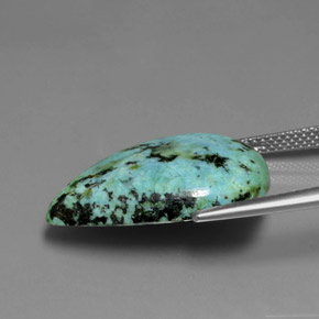 Turquoise vert naturelle en forme de poire, 13,34 ct, opaque