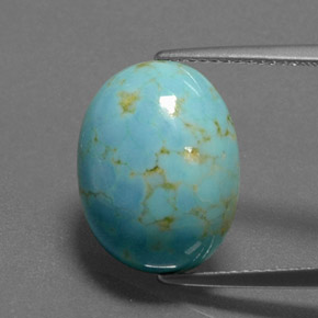 Turquoise Bleu naturelle Coupe ovale, 7.84 ct, Opaque