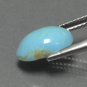 Turquoise Bleu naturelle Forme fantaisie, 2.07 ct, Opaque