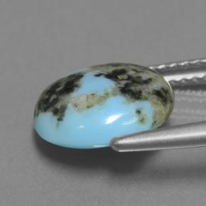 Turquoise bleue naturelle coupe roude, 2,87 ct, opaque