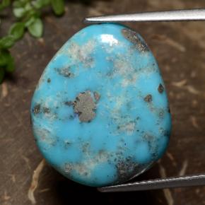 Turquoise Bleu naturelle Forme fantaisie, 9.24 ct, Opaque