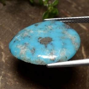 Turquoise Bleu naturelle Forme fantaisie, 9.24 ct, Opaque