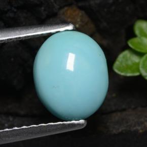 Turquoise bleue naturelle coupe ovale, 1,11 ct, opaque