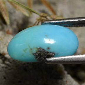 Turquoise bleue naturelle forme fantaisie, 1,34 ct, opaque