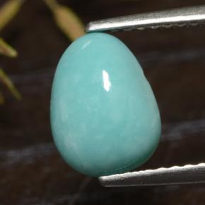 Turquoise Bleu naturelle Forme fantaisie, 1.49 ct, Opaque