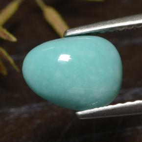 Turquoise Bleu naturelle Forme fantaisie, 1.49 ct, Opaque
