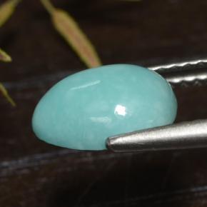 Turquoise Bleu naturelle Forme fantaisie, 1.49 ct, Opaque
