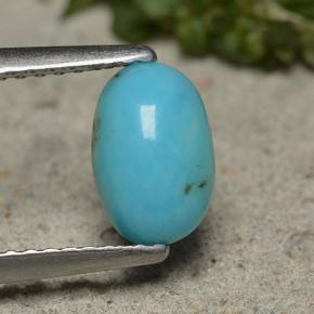Turquoise Bleu naturelle Coupe ovale, 0.85 ct, Opaque