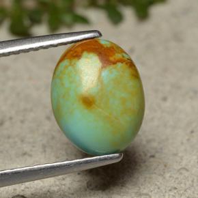 Turquoise vert naturelle coupe ovale, 1,91 ct, opaque